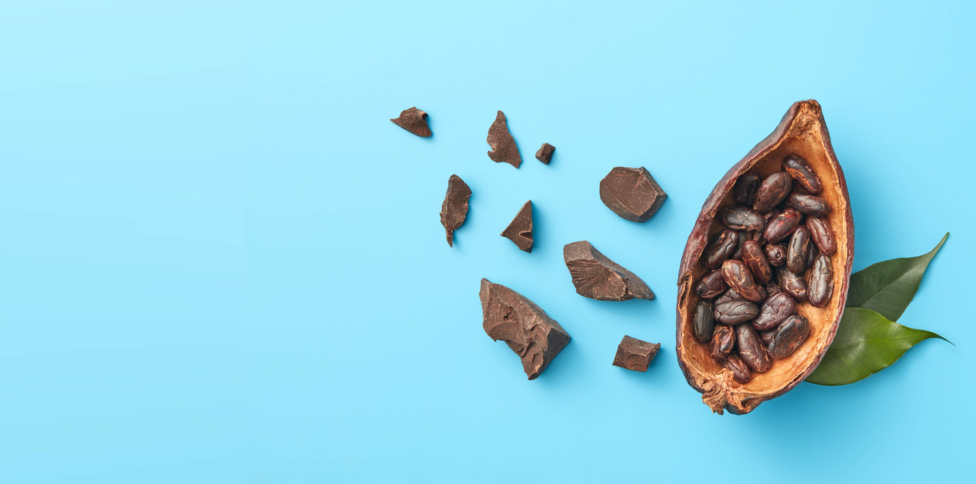 Sharing the delight of premier chocolates with every home.