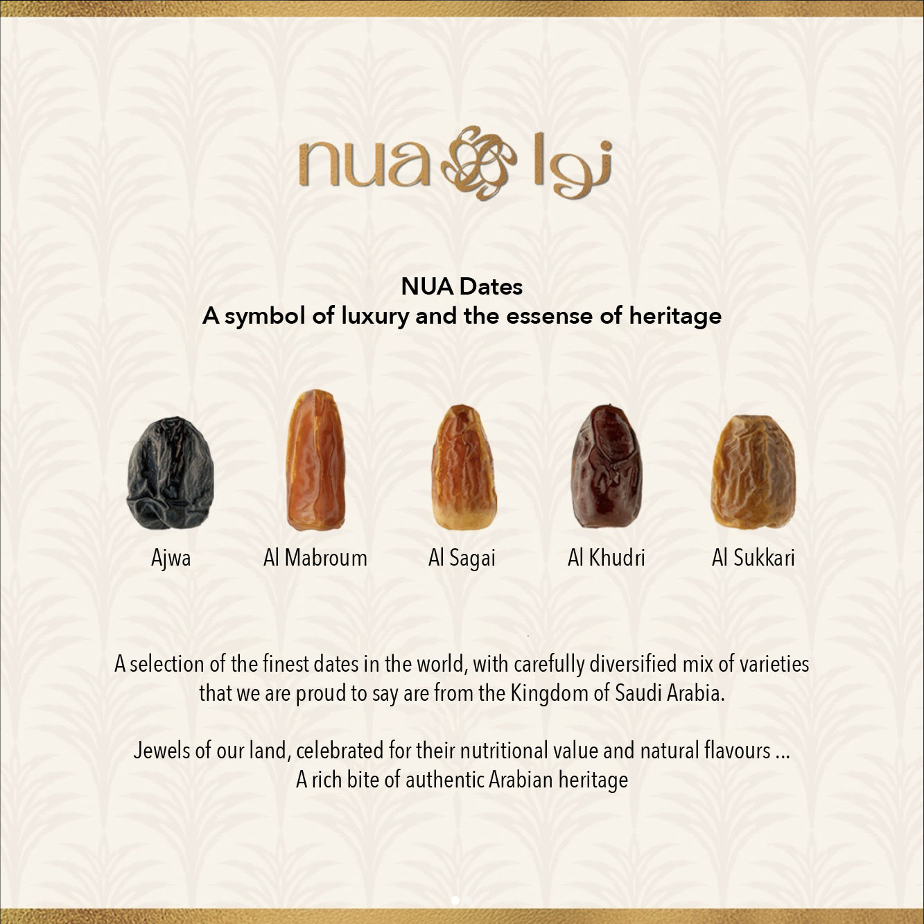 NUA Premium Ajwa Dates Gift Box – 100g